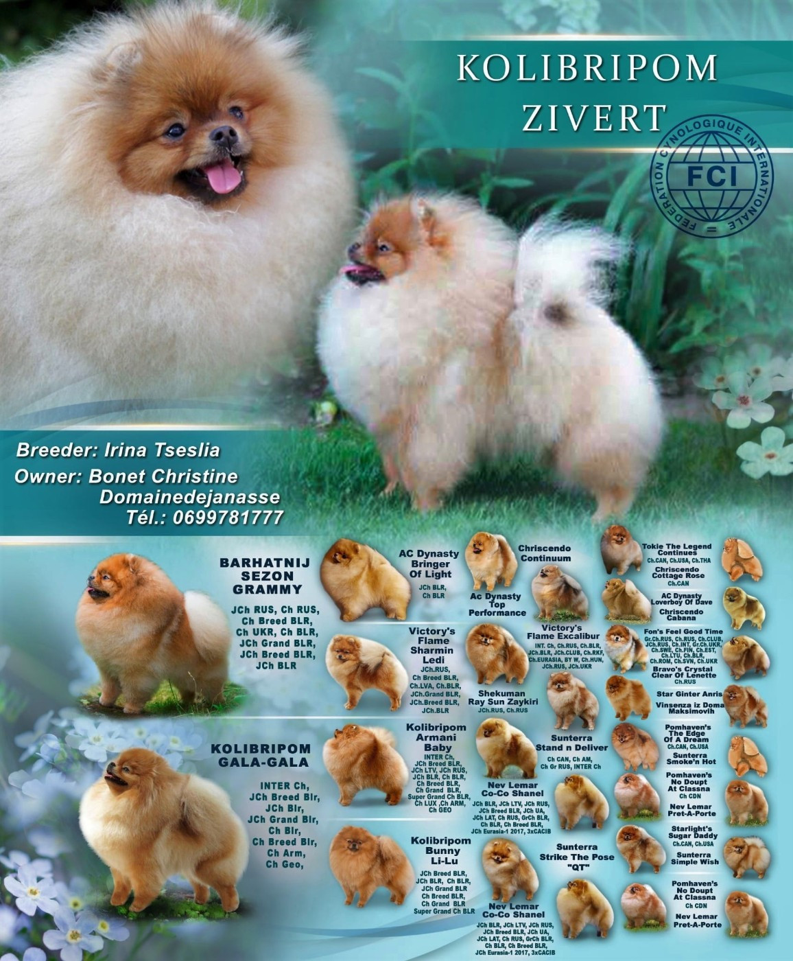 Zivert (dit pipper) kolibripom