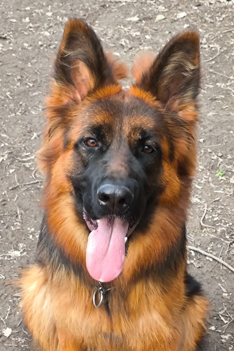 Awaï du grand Revoyet